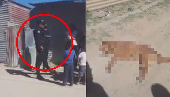 Un policía mató de un disparo a una perrita preñada por ladrarle (VIDEO)