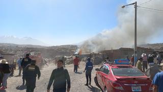 Arequipa: Cerdos mueren calcinados en incendio en Chiguata