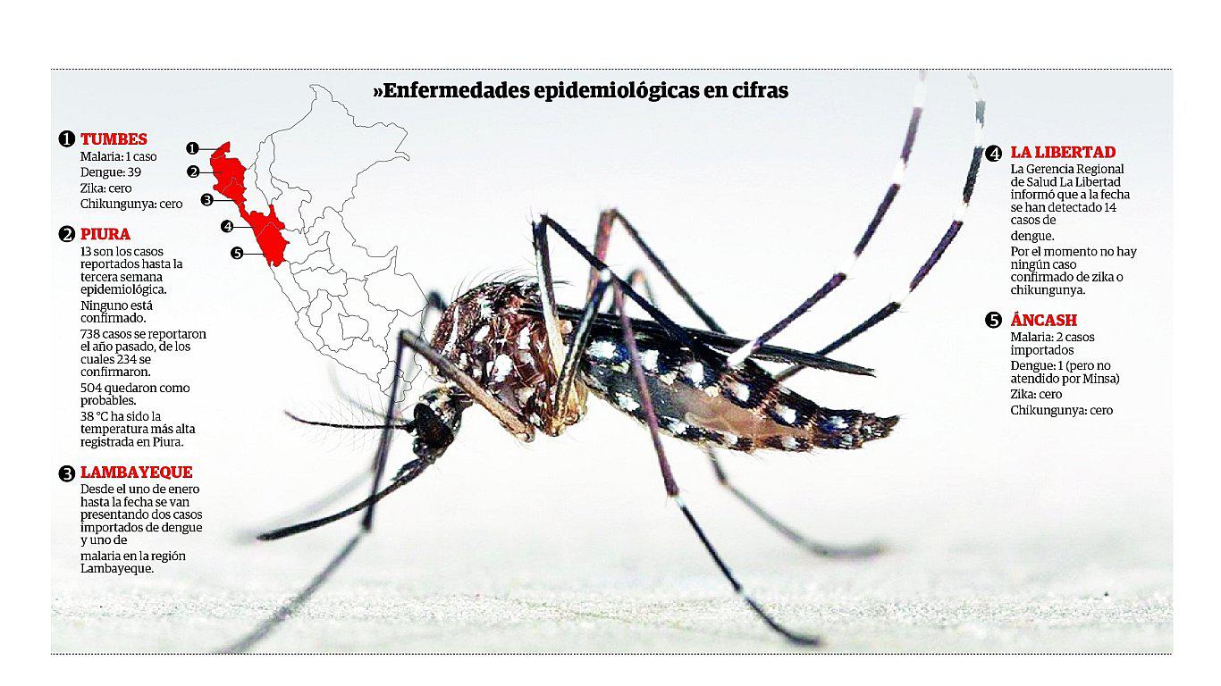 Detectan casos de dengue y malaria en el norte del país  