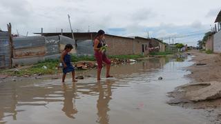 Casos de leptospirosis se disparan en Piura tras intensas lluvias