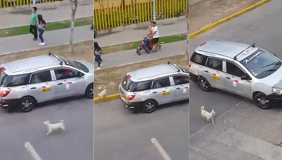 Familia causa indignación por haber abandonado a un perrito en plena vía pública (VIDEO)
