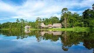 ¿Cuáles son las situaciones que amenazan la preservación de la Amazonía?