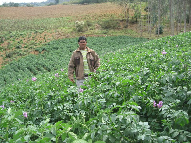 Agricultura entrega títulos de propiedad cedidos como garantía hipotecaria