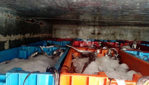 Tumbes: Incautan 3,850 kilos de pescado por un valor de S/ 9,450