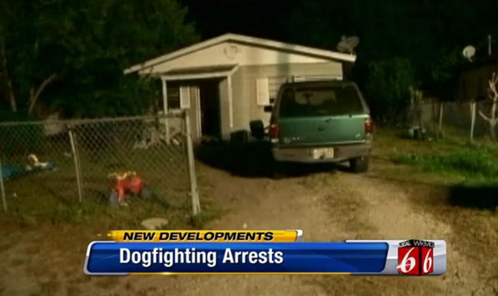 Rescatan 17 perros que iban a ser utilizados en peleas callejeras