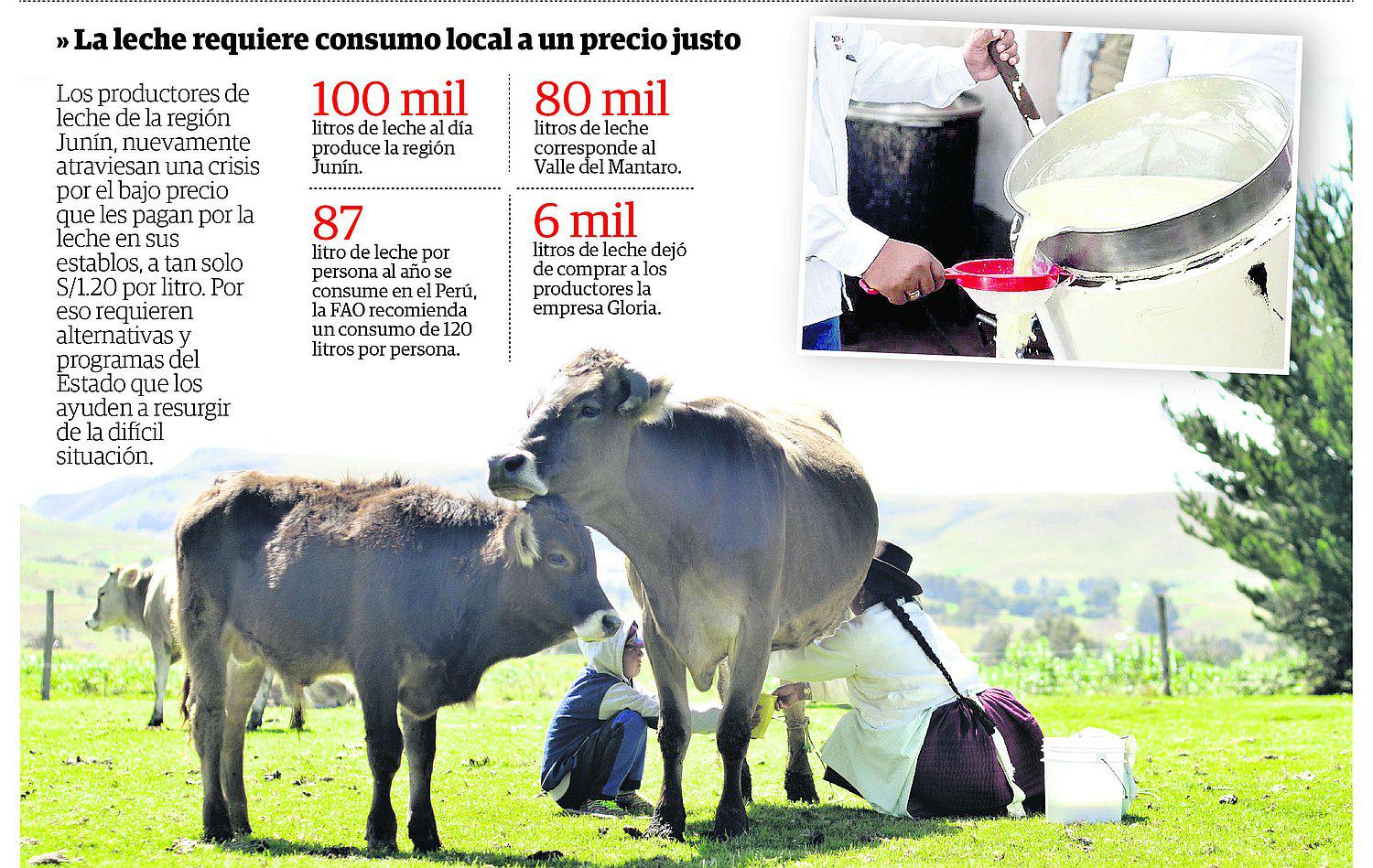 ​En riesgo producción de 100 mil litros de leche de la región Junín
