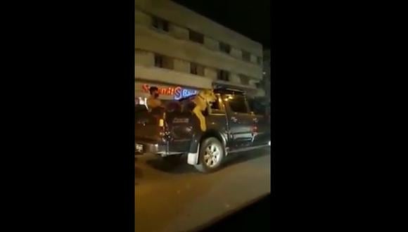 Pakistán: Sujeto paseó a león en la parte trasera de su auto (Video)