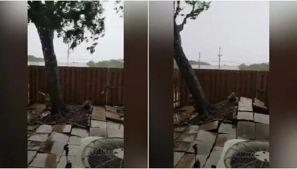 Huracán Irma: el preciso momento en el que arranca un árbol de raíz (VIDEO)