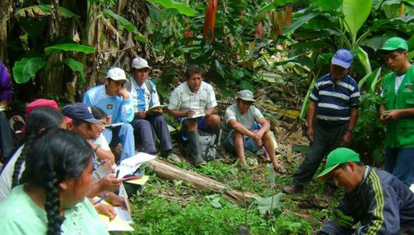Cocaleros de San Gabán concertan diálogo por cultivos alternativos