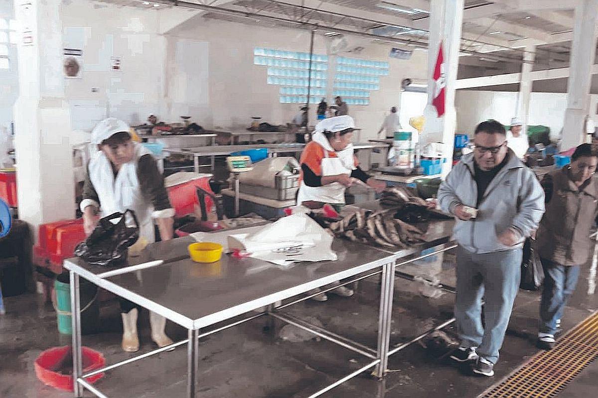 Desembarcadero venderá pescado solo hasta las 10 a.m.