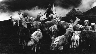 Treinta años de fotografías en exposición de la Fototeca del Sur Andino y Foto Club Cusco