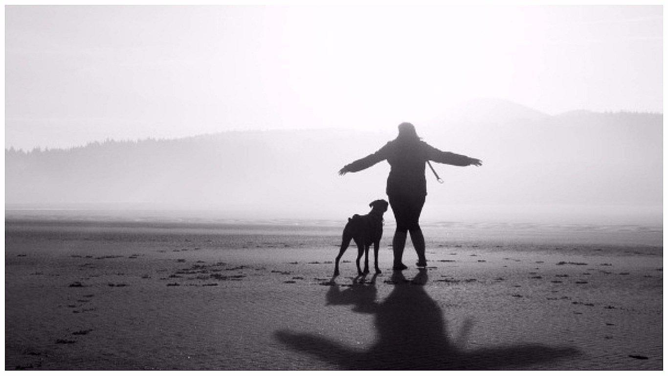 Plataforma ofrece alojamiento gratuito en 150 países a cambio de cuidar mascotas