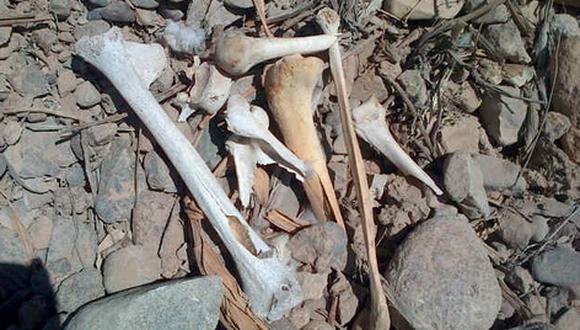 Encuentran restos óseos en Pachía