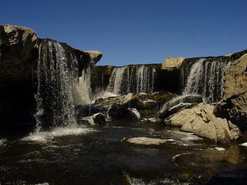 Más de mil iquiqueños llegarán a Tacna por fiestas
