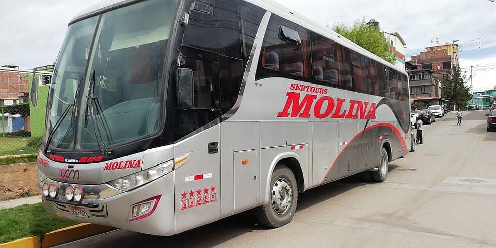  Incautan droga en bus de Empresa de Transportes Molina
