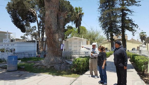 Familiares deben 200 mil soles por cuidado de tumbas en el cementerio