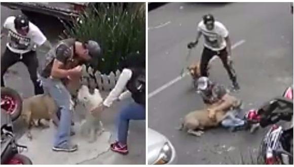 Facebook: joven enfrentó a Pitbull para ayudar a su mascota durante ataque (VIDEO)