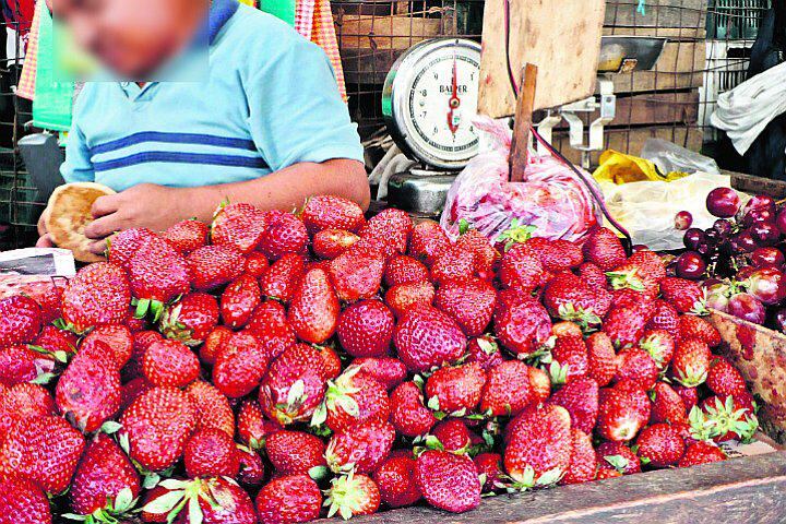 Alertan a la población por parásitos en fresas