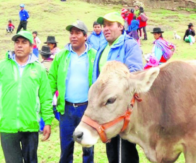 Reciben ganado luego de dos años de espera