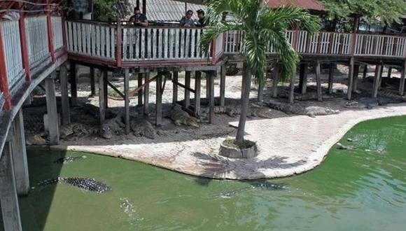 Tailandia: Mujer se suicida lanzándose a estanque con cocodrilos