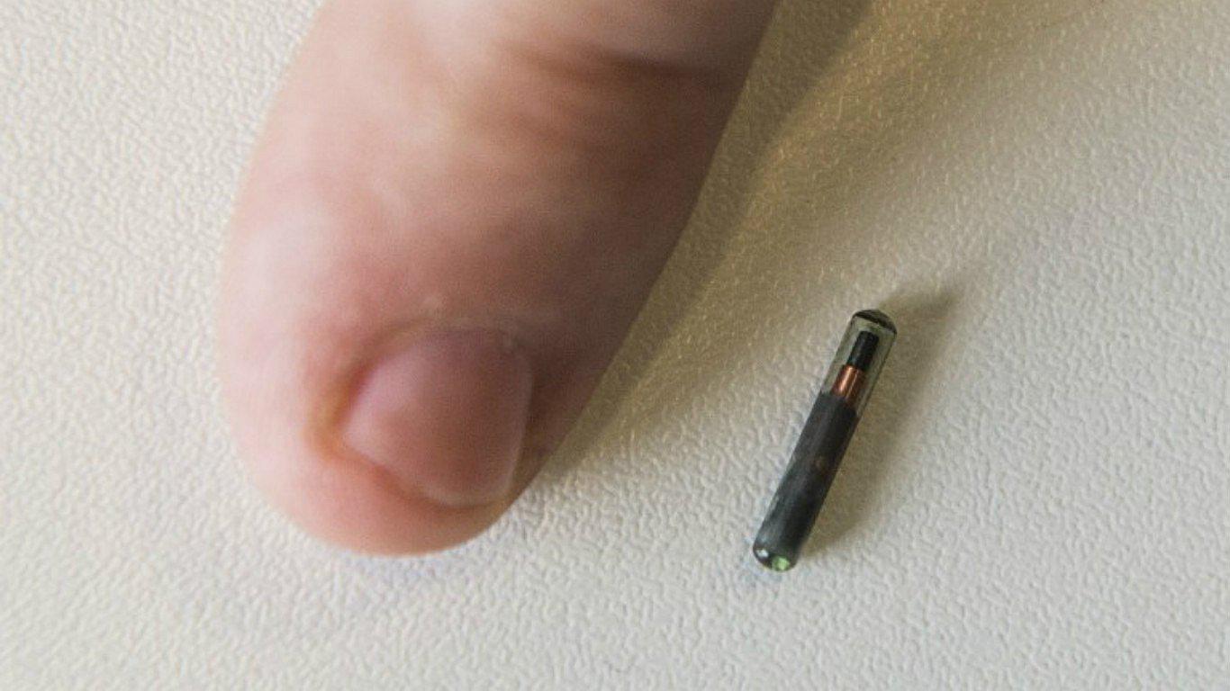 Bélgica: Empresa implanta chips a sus empleados 