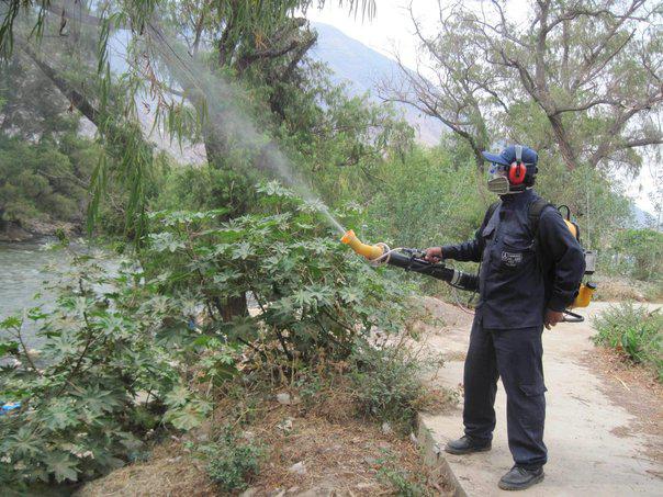 Áncash: La Uta ataca a 20 niños en Pallasca