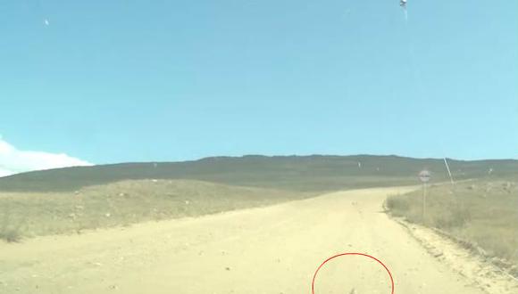 Youtube: No creerás lo que encontraron en esta carretera de Rusia 