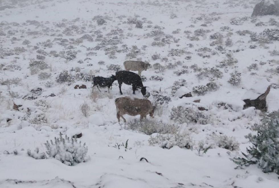 Nieve y lluvia bloquea vías de comunicación y deja varada a personas y vehículos