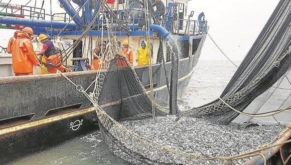 Pesca de anchoveta registra avance de 60% y estiman que temporada acabe a fin de mes