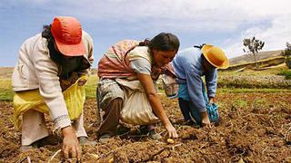 Midagri: Sector agropecuario crece 8.8% en junio, la cifra más alta en lo que va del año