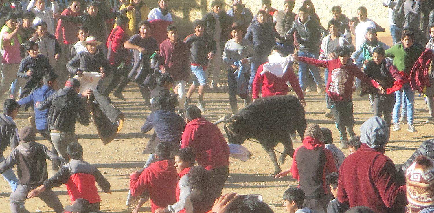 Joven casi pierde el testículo por cornada, durante “toro chutay” en San Gerónimo