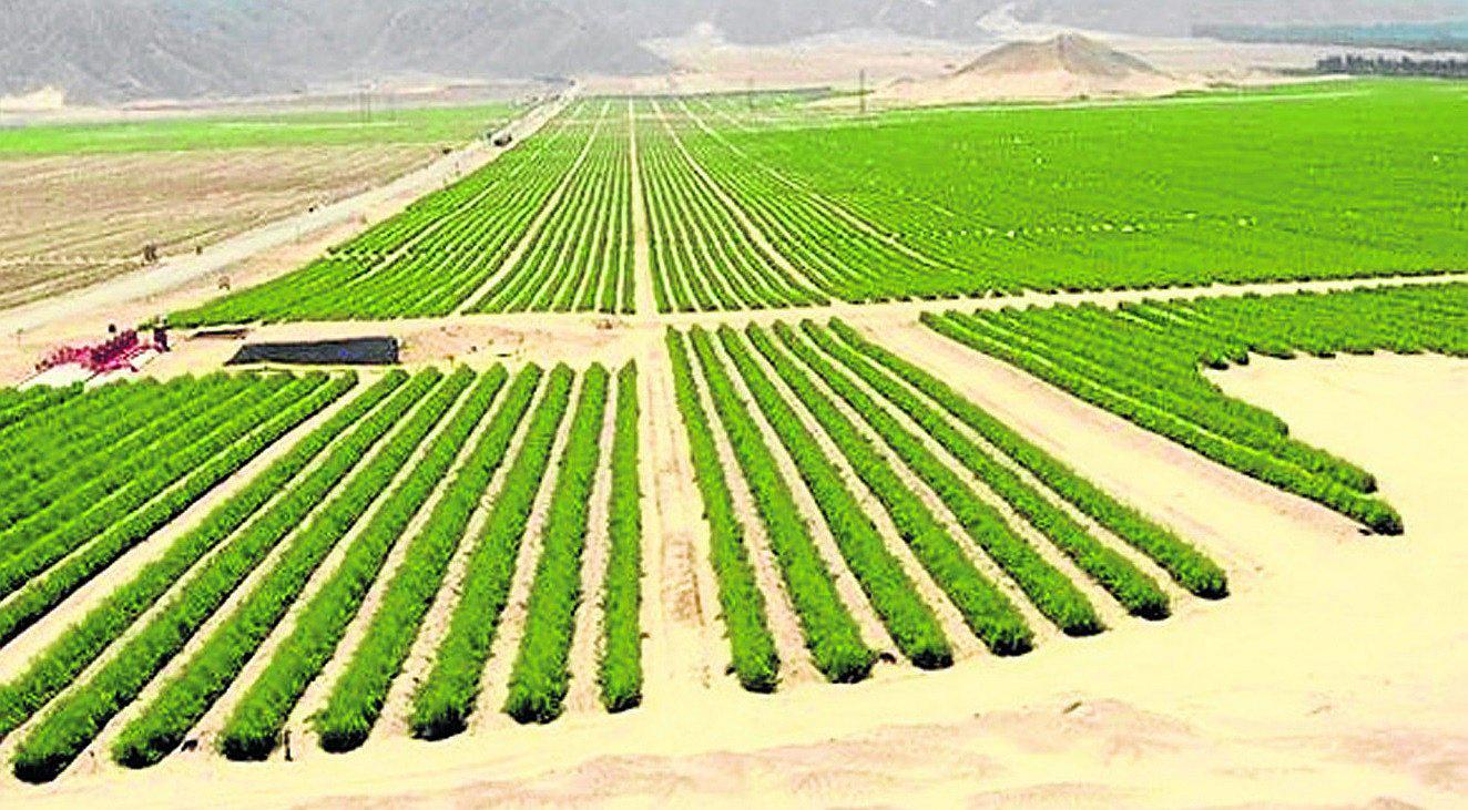 Chavimochic enfrenta a los consejeros con el gobernador  