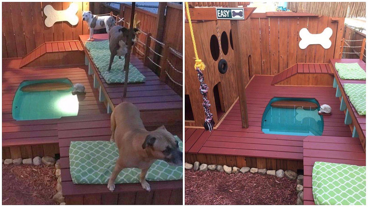 Hombre pasó dos años construyendo una increíble mansión para sus perros (FOTOS)