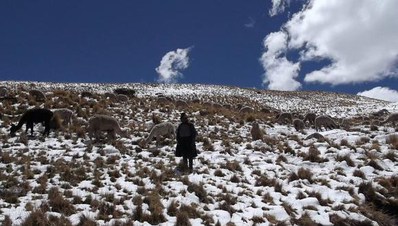 Moquegua: Alerta por nevadas y disminución de temperaturas