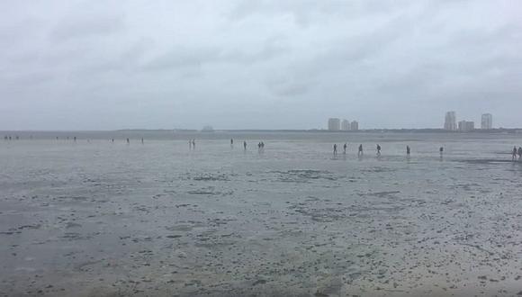 Facebook: Huracán Irma "secó" el agua de la bahía de Tampa (VIDEOS)