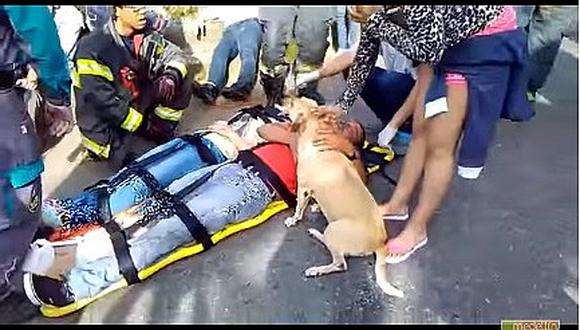 ​¡Conmovedor! Perro socorre a su amo luego de que este sufriera un accidente (VIDEO)
