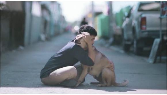 YouTube: perros callejeros reciben su primer abrazo y sus reacciones te conmoverán (VIDEO)