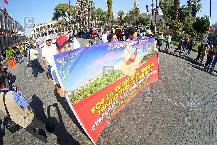 Criadores de gallos y toros de pelea piden no romper tradición