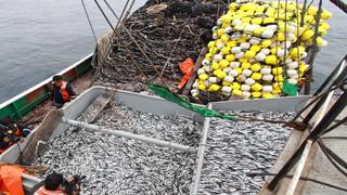 Chimbote: Pescadores piden desembarcar para festejar la Navidad con sus familias
