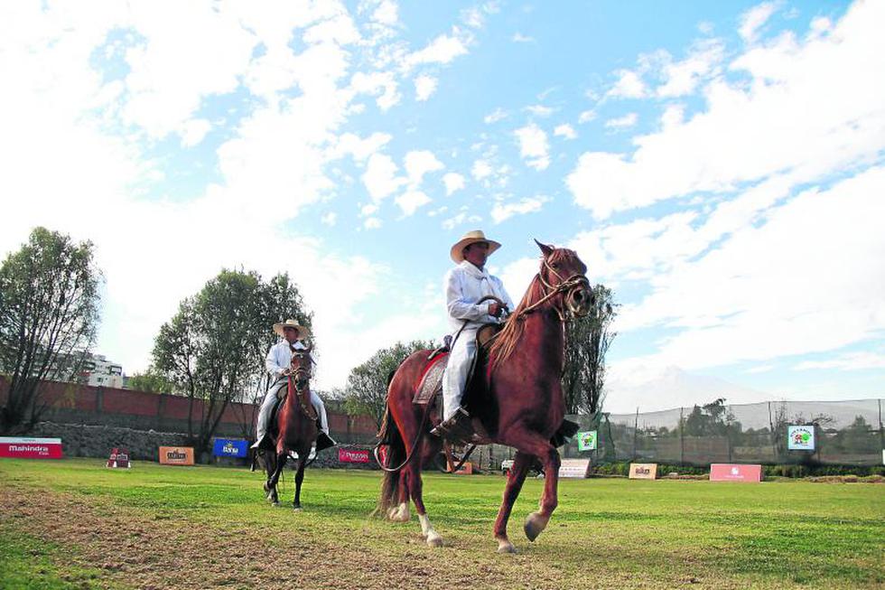 150 caballos de paso animan el Décimo concurso en Arequipa