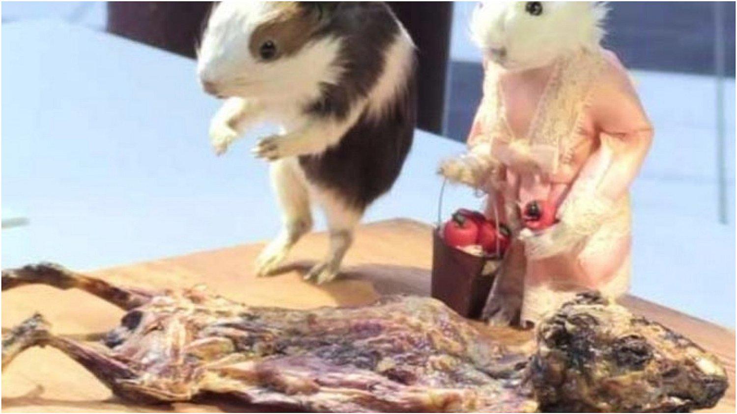 Cuy es exhibido en el “museo de comida asquerosa” en Europa  (FOTO)