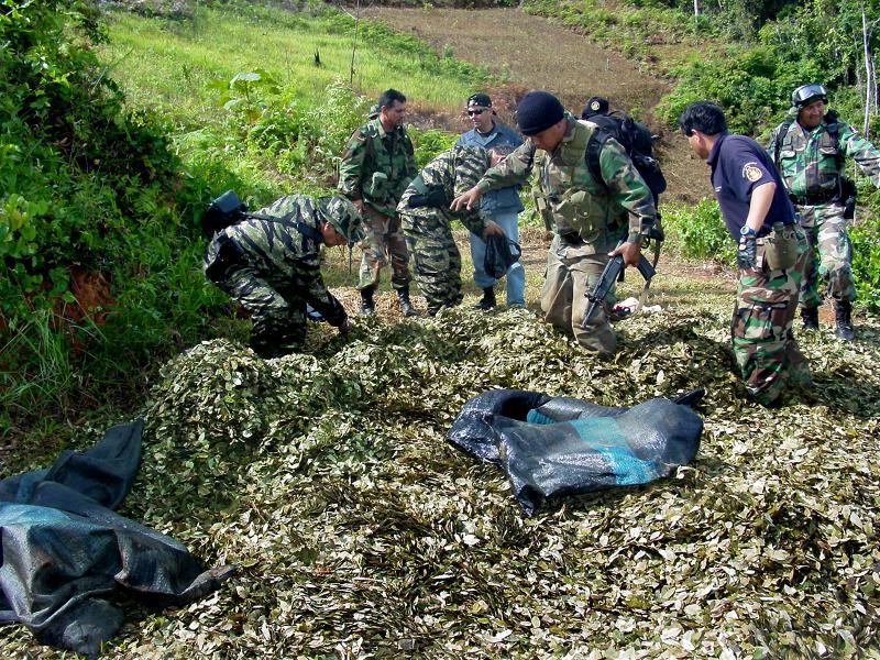 Incautan 850 kilos de coca ilegal