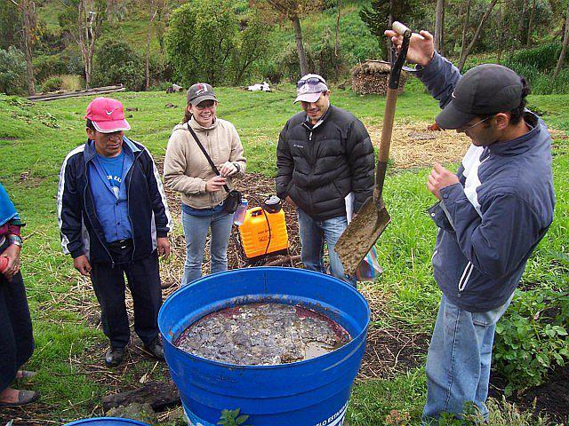 Implementan nuevas técnicas de fertilización de cultivos en Bolívar