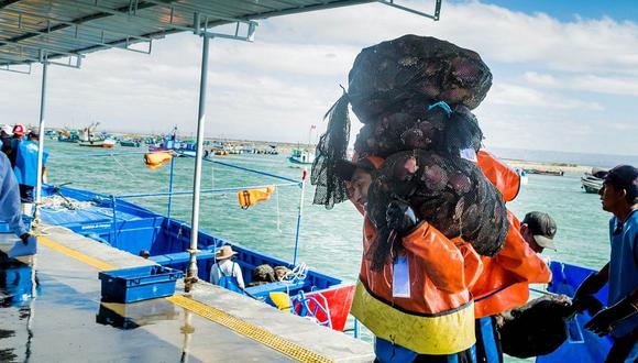 Sechura: invertirán en el desembarcadero pesquero artesanal para evitar cierre