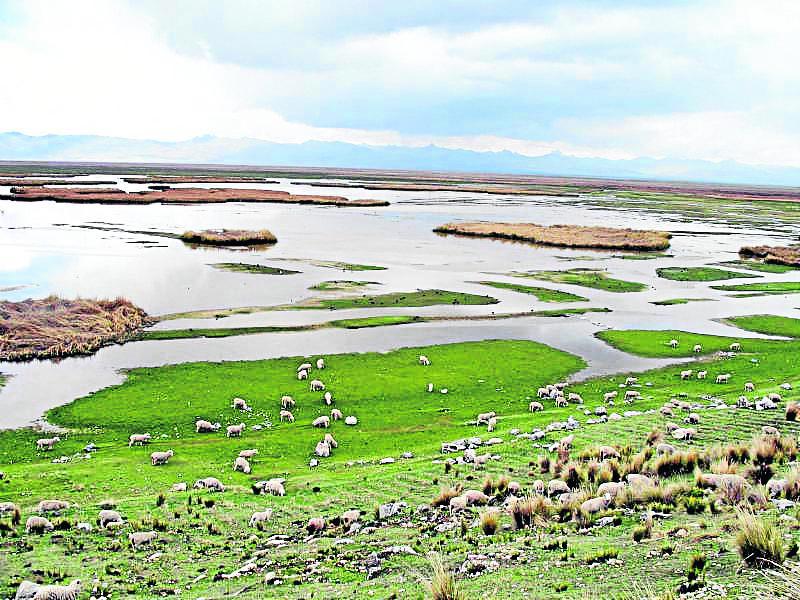 Lago Chinchaycocha agoniza por relave y archivan caso