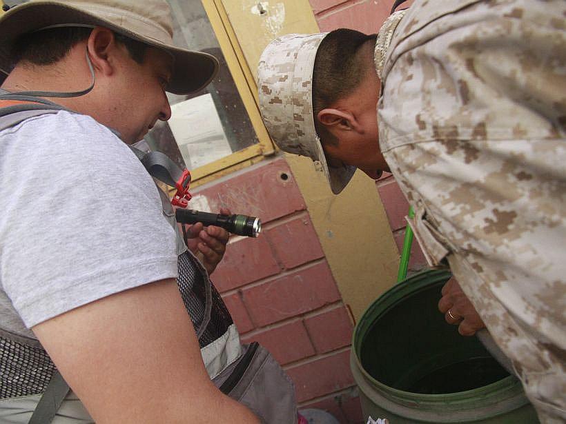 Arica: militares se suman a labores de búsqueda del vector que transmite el Zika