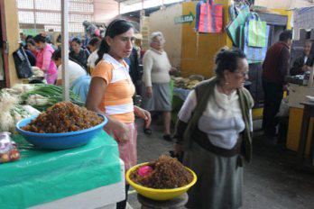 El cushuro, rico y barato