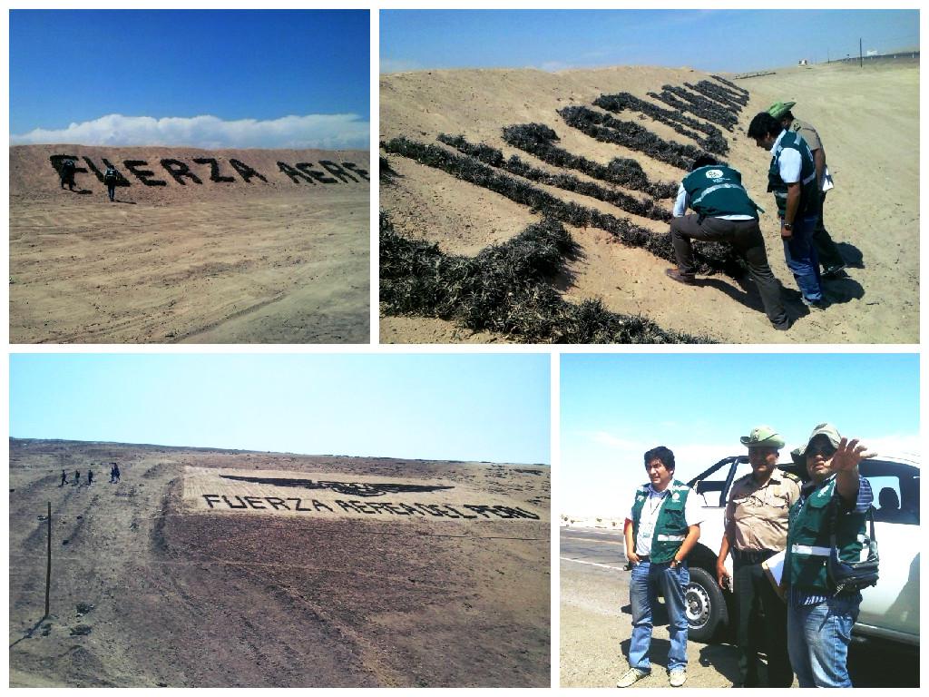 Denunciarán a la FAP por utilizar flora silvestre en peligro de extinción