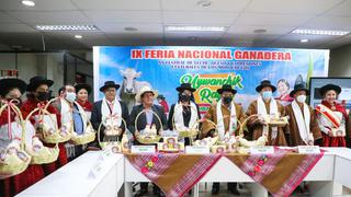 Ayacucho: Anuncian feria ganadera “Uywanchik Raymi 2022″