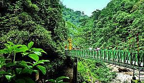 Empresarios buscan modelo de desarrollo sostenible para Amazonía